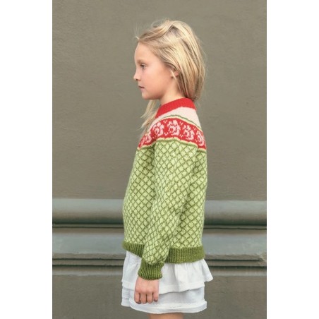 Patroon Sandnes Garn Blome Sweater Junior