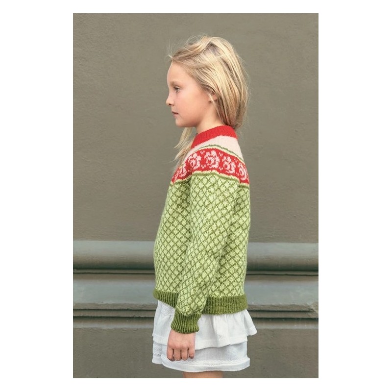 Patroon Sandnes Garn Blome Sweater Junior