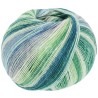 Lana Grossa Cool Wool 4 Socks Print 7754