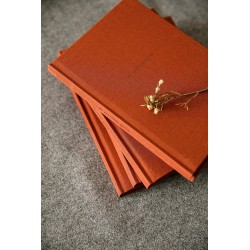 Laine Project Journal