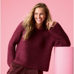 Compleet Bbreipakket - Trui - Ecopuno & Silkhair - Classici 31 (model 16)
