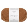 Sandnes Sunday 2543