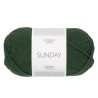 Sandnes Sunday 8082