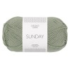 Sandnes Sunday 8521