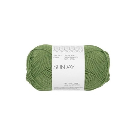 Sandnes Sunday 8753