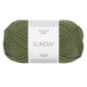 Sandnes Sunday 9062