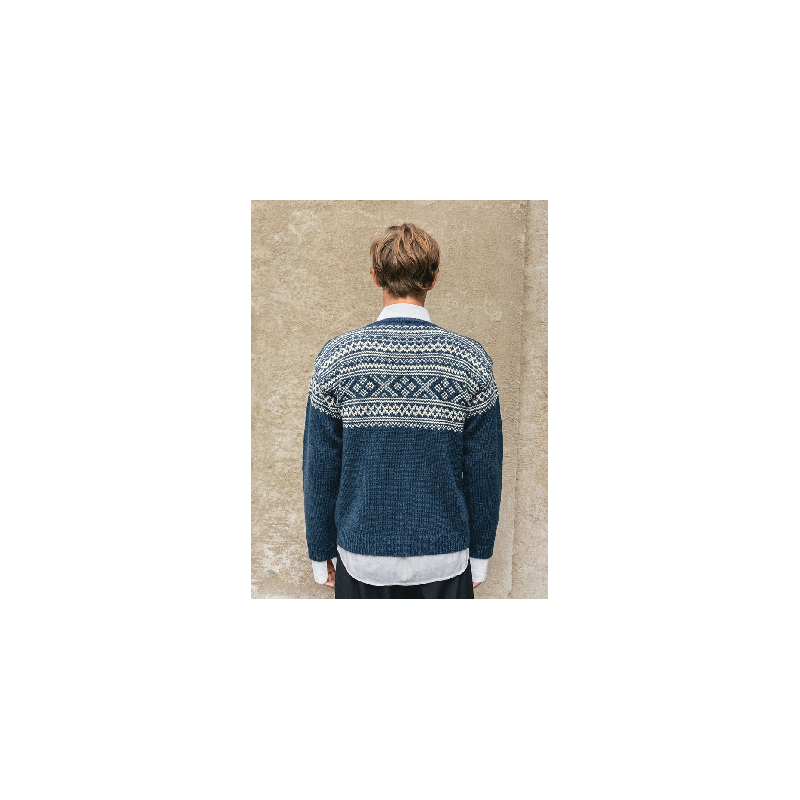 Patroon Sandnes Garn Setesdal Cardigan Man 2510-7A