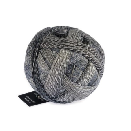 Schoppel Wolle Zauberball Stärke 6 2428 Schlammpackung