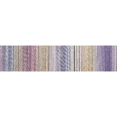 Schoppel Wolle Zauberball Stärke 6 2473 Lockstoff