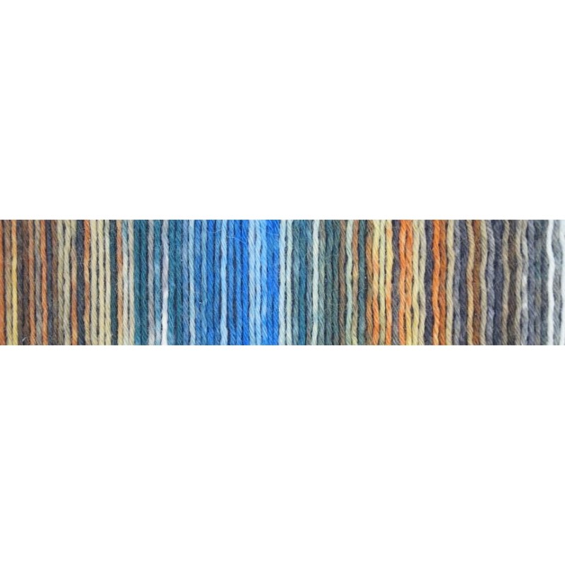 Schoppel Wolle Wunderkleckse 2150 Titanic