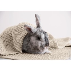 Compleet Pakket - Deken - Cool Wool Baby - Infanti Best Of (model 63)