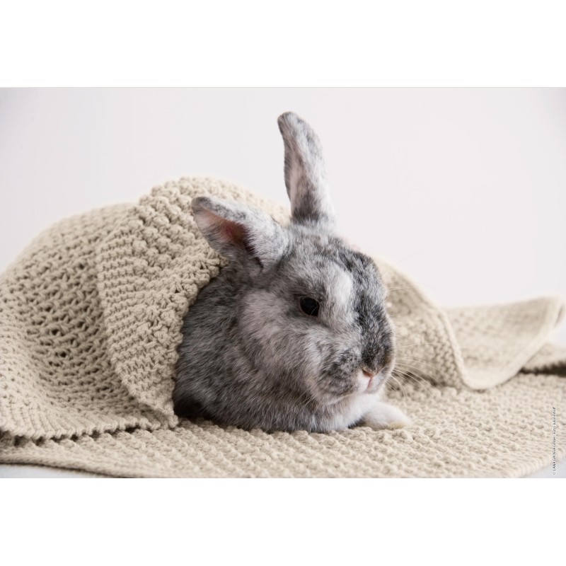 Deken - Cool Wool Baby - Infanti Best Of (model 63)