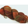 Malabrigo Sock 121 Marte