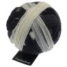 Schoppel-Wolle Zauberball 1508 Schatten