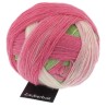 Schoppel-Wolle Zauberball 2079 Durch die Blume