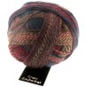 Schoppel Wolle Zauberball Crazy 1507 Herbstwind