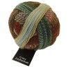 Schoppel Wolle Zauberball Crazy 1660 Flussbet