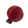 Schoppel Wolle Zauberball Crazy 2231 Buntmetall