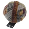 Schoppel Wolle Zauberball Stärke 6 2092 Schocoladenseite
