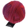 Schoppel Wolle Zauberball Stärke 6 2095 Indisch Rosa