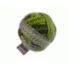 Schoppel Wolle Zauberball Stärke 6 2204 Grune Woche
