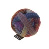 Schoppel Wolle Zauberball Stärke 6 2248 Zimtschnecke