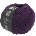 Lana Grossa Cool Wool Big 1604