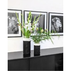 Vazenhoes - Mille II - Home 72 (Model 2)