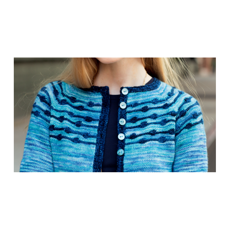 Patroon Malabrigo Mechita of Sock Leonori