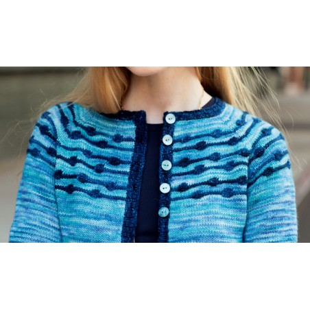 Patroon Malabrigo Mechita of Sock Leonori