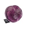 Schoppel Wolle Zauberball Crazy 2543 Dark Roses