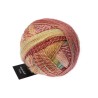 Schoppel Wolle Zauberball Crazy 2545 Early Autumn