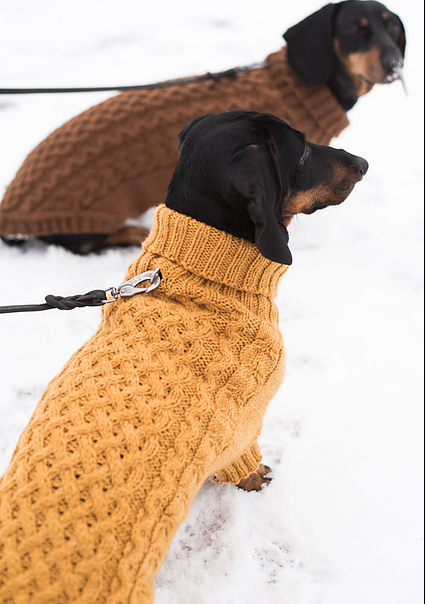 Honden Trui - Novita 7 Brothers - Cabled Dog Sweater