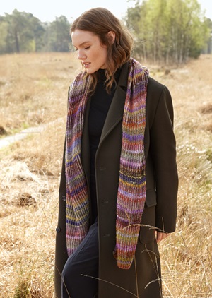 Alle pakketten Colorissimo