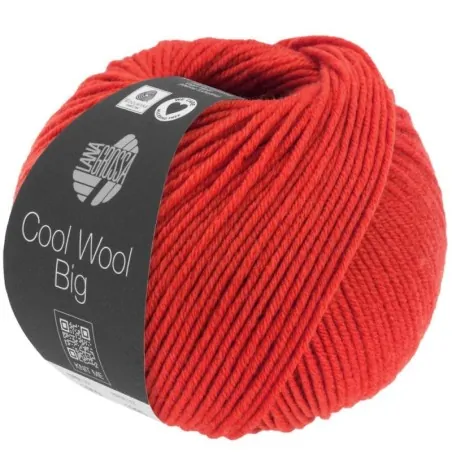 Lana Grossa Cool Wool Big 1607