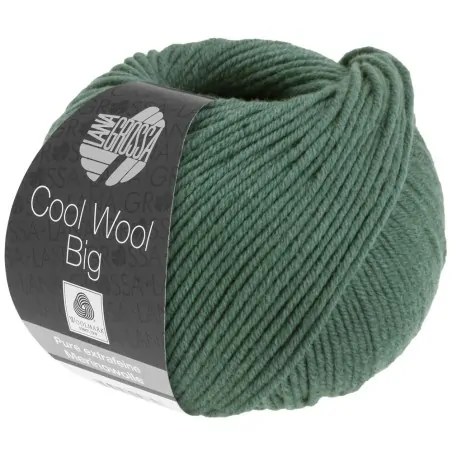 Lana Grossa Cool Wool Big 1004